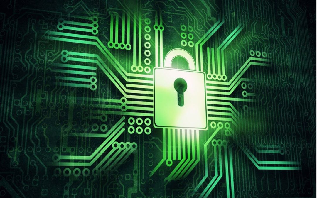 Strengthen Your Cyber Armor: Essential Tips for Online Safety